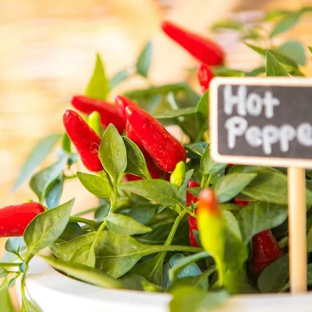 With Private Parking 아파트