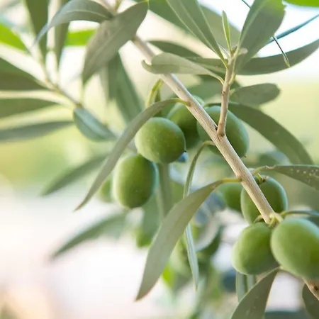 Apartament With Private Parking