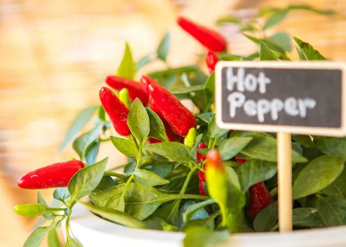 With Private Parking Apartamento