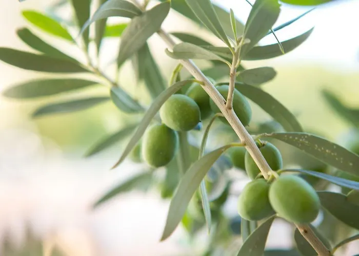 Apartamento With Private Parking